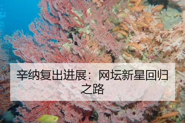xin-na-fu-chu-jin-zhan-wang-tan-xin-xing-hui-gui-zhi-lu-2-266.jpg